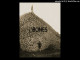 Lyrics: 350352995 - BONES