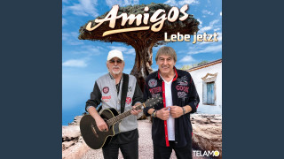 Explore the Meaning of Amigos - Rote Rosen Im Schnee Lyrics