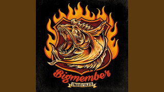 Explore the Meaning of Big Member - Has Perdido Tu Tren Lyrics