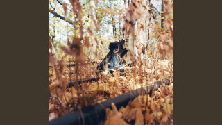 Explore the Meaning of Billy Woods - Golgotha Lyrics