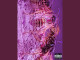 Lyrics: Blood Menace - 9th Fatal Earth