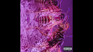 Explore the Meaning of Blood Menace - Death Portal Lyrics