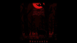 Explore the Meaning of Bloody Bouquet - Paralyzed Lyrics