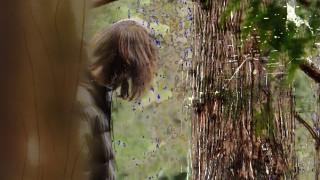 Explore the Meaning of Braden Ross - I Bet You Like That Lyrics