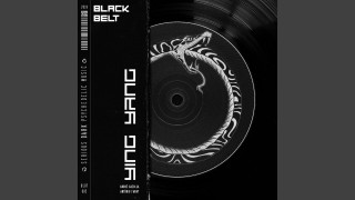 Explore the Meaning of CHROMIA - PAREIDOLIA Lyrics