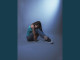 Lyrics: Clairee - Passi Da Me