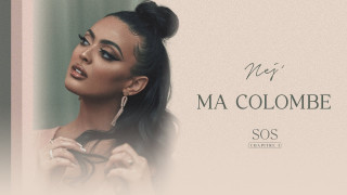 Explore the Meaning of Colombre - A Te Lyrics