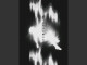 Lyrics: Crysed - Disharmoniert