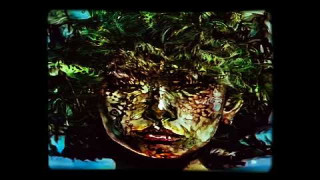 Explore the Meaning of Dante Timberwolf - Hal Kemps All Joyful Camaraderie Lyrics