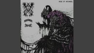 Explore the Meaning of Dollbreaker - ROSE OF ARIANDEL Lyrics