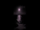 Lyrics: ELFOENIX - Wake Me Up
