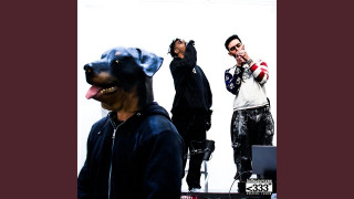 Explore the Meaning of Eliesg - ANIMAUX Lyrics