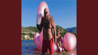 Explore the Meaning of Flamingo Fernandez - Bug Song Lyrics