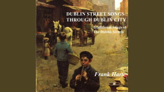 Explore the Meaning of Frank Harte - Matt Hyland Lyrics