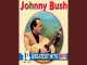 Lyrics: Johnny Bush - Undo The Right
