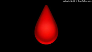 Explore the Meaning of JorgitoAlc - SILENT HOE Lyrics