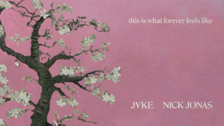 Explore the Meaning of JVKE - This Is What Growing Old Together Feels Like Lyrics