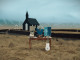 Lyrics: KALEO - The Good Die Young