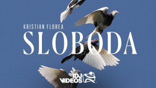 Explore the Meaning of Kristian Florea - Sloboda Lyrics