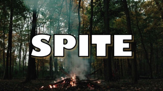 Explore the Meaning of Leo Alexander - Spite Lyrics