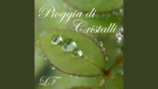 Explore the Meaning of Leonardo - Pioggia Di Persone Lyrics
