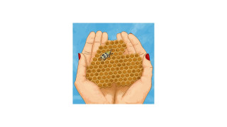 Explore the Meaning of Mackenzy Mackay - Honeycomb Lyrics