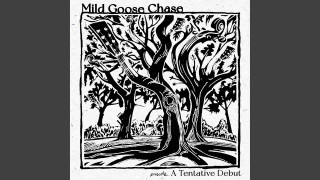 Explore the Meaning of Mild Goose Chase - Shoulda Loved You More Lyrics