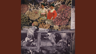 Explore the Meaning of Mina Via Flores - Desastres Naturales Lyrics