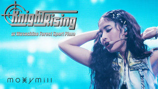 Explore the Meaning of Moxyvill - Knight Rising Lyrics