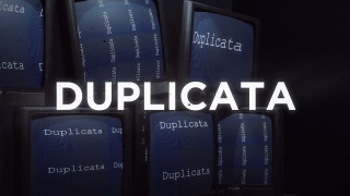 Explore the Meaning of NAAFRI - Duplicata Lyrics