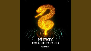Explore the Meaning of Nutkix - Smooth Operator Lyrics