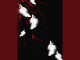 Lyrics: P4tiencef4ll - Dead Bird