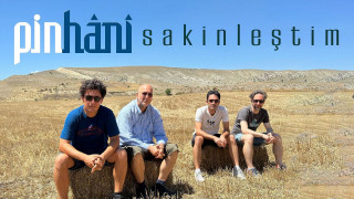 Explore the Meaning of Pinhani - Oldum Deli Lyrics
