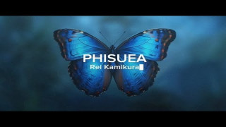 Explore the Meaning of Rei Kamikura - PHISUEA Lyrics