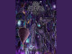 Lyrics: Rejuvenation - Paradise
