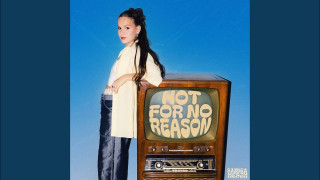 Explore the Meaning of Sandra Hesch - Hot For No Reason Lyrics