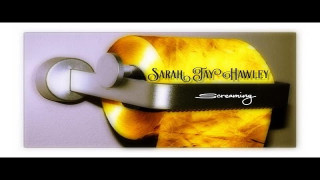 Explore the Meaning of Sarah Jay Hawley - Did He Say Lyrics