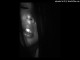Lyrics: Serena Lin Coco - I Luvd You