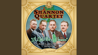 Explore the Meaning of Shannon Quartet - My Wild Irish Rose Lyrics