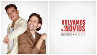 Explore the Meaning of Silvestre Dangond - Volvamos A Ser Novios Lyrics