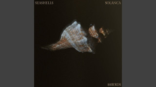 Explore the Meaning of Solanca - Seashells Lyrics
