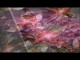 Lyrics: Stazu - Diamond Eclipse