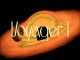 Lyrics: Surfing Stingrays - Voyager 1