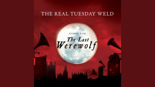 Explore the Meaning of The Real Tuesday Weld - Wolfman Lyrics