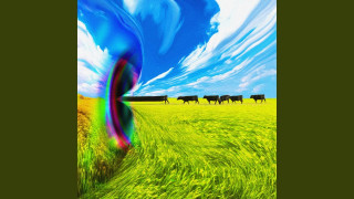 Explore the Meaning of The Real Zebos - Stormy Weather Lyrics