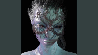 Explore the Meaning of Troche - Soul Damage Lyrics