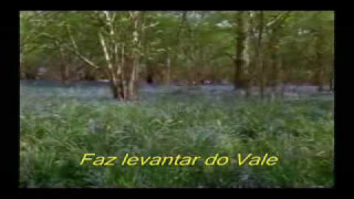 Explore the Meaning of Victor Tavares - Onde O Vento Soprar Lyrics