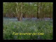 Lyrics: Victor Tavares - Onde O Vento Soprar