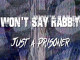 Lyrics: Wont Say Rabbit - Just A Prisoner